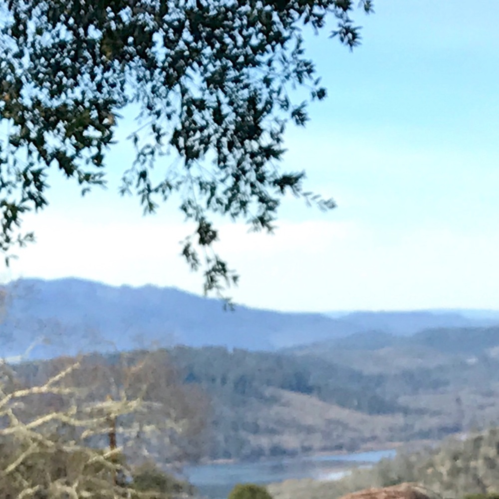 Meet your Posher, Shelley